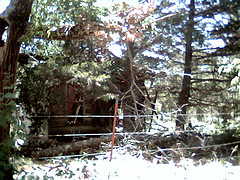 Old Building, Fred, Indian Territory