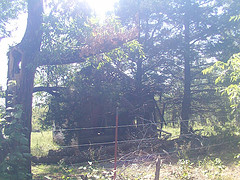 Old Building , Fred, Indian Territory [IMG 11]