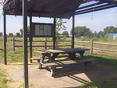 Picnic Pavalion at Fred, Indian Territory [IMG 4]
