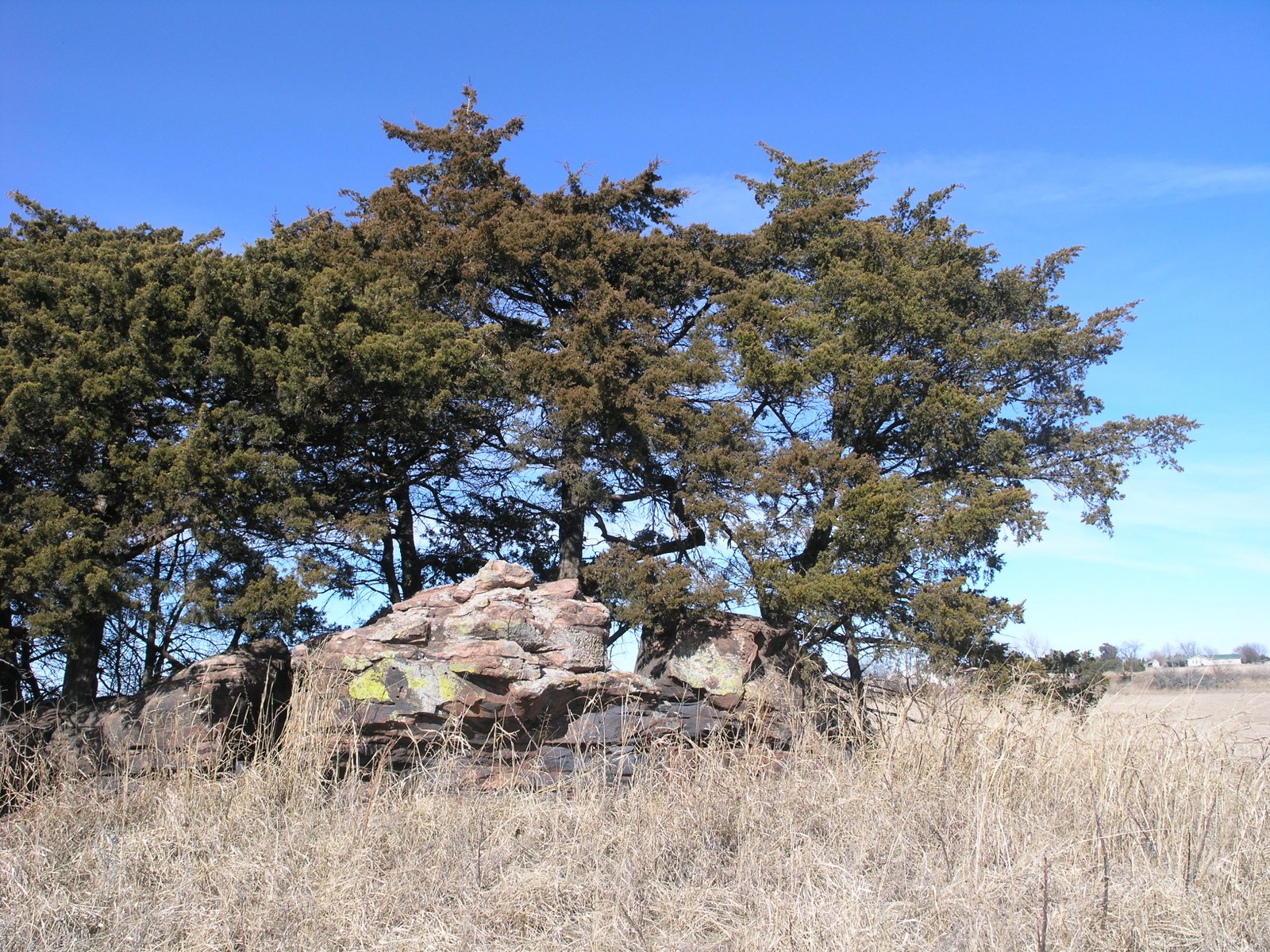 Exploring Oklahomam History